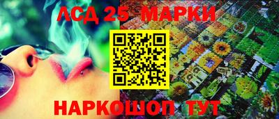 молекула духа Донецк