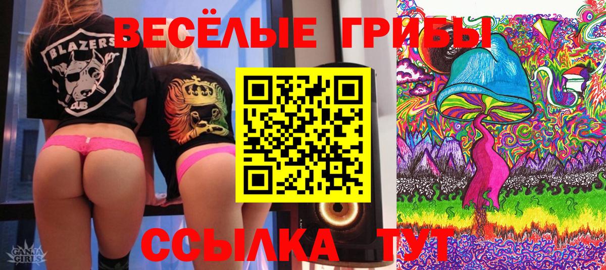Вязники  Псилоцибиновые грибы прущие грибы  Вход с VPN  Псилоцибиновые грибы мицелий 