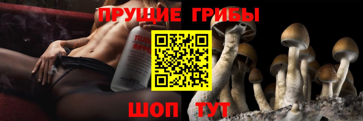 Псилоцибиновые грибы GOLDEN TEACHER Вязники