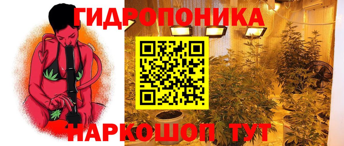 Бошки Шишки гибрид Вязники